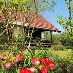 Dom wakacyjny Eifel-lounge - Monteurswohnung *