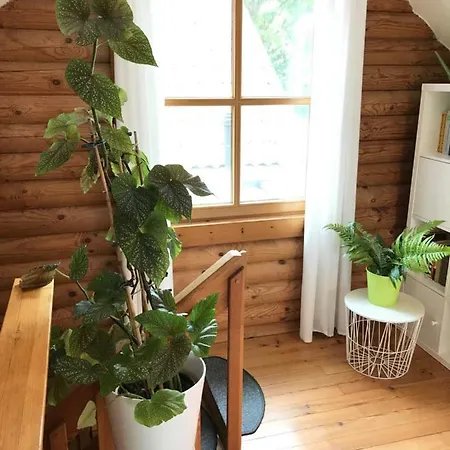 Casa de Férias Eifel-lounge Blockhaus Mit Kamin Garten Balkon Nahe Koeln Therme Bruehl Phantasialand