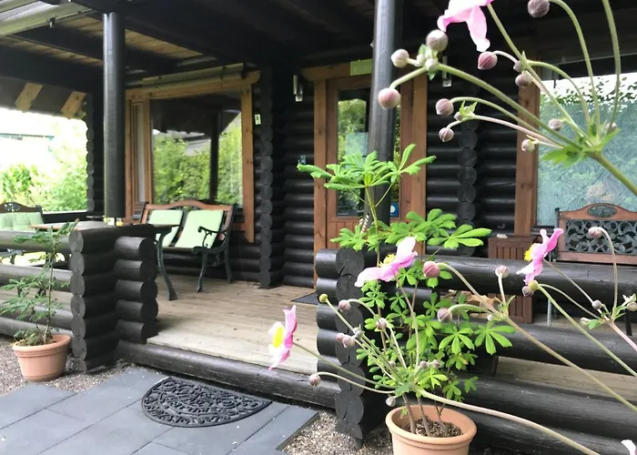 Eifel-lounge - Monteurswohnung *