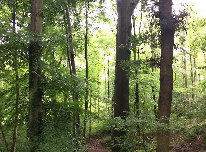 Eifel-lounge Blockhaus Mit Kamin Garten Balkon Nahe Koeln Therme Bruehl Phantasialand * Weilerswist