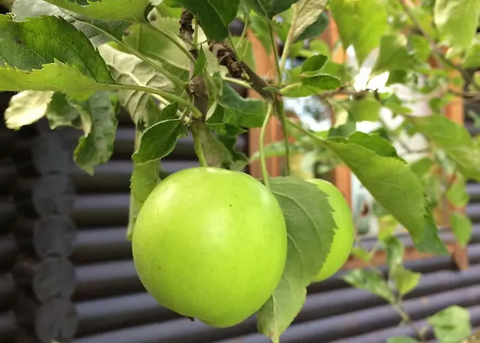 Eifel-lounge - Monteurswohnung * Weilerswist