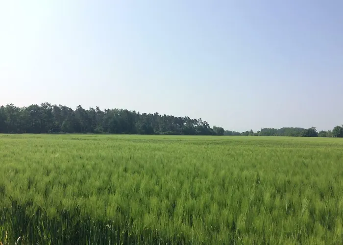 בית נופש Eifel-lounge - Monteurswohnung Weilerswist