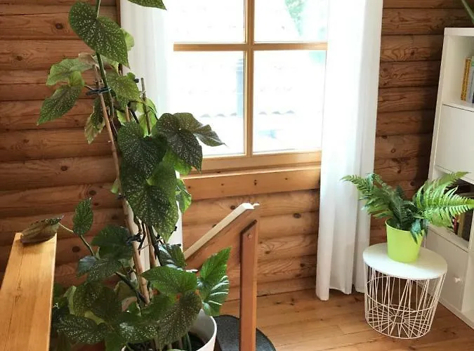 Semesterbostad Eifel-lounge Blockhaus Mit Kamin Garten Balkon Nahe Koeln Therme Bruehl Phantasialand